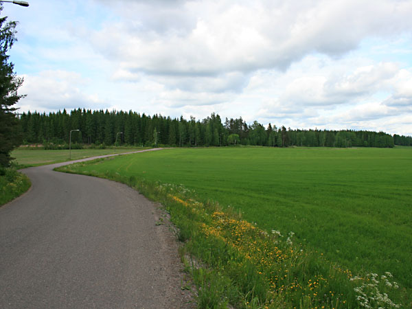 Haapasaarentiet&auml;